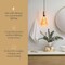 Next Glow Edison LED Bulb – Vintage Diamond, Warm White, Dimmable E26 Decorative
